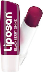 Liposan Fruity Shine Lip Balm 4.8gr