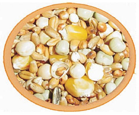 Professional Mix Professional Mix Τροφή για Περιστέρια 25kg