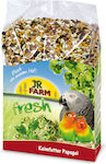 JR Farm Birds Food for Budgerigars 1kg