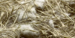 Sisal Fibre Vogelnest Jute-cotton