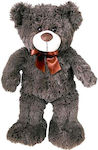 Plush Bear 50 cm