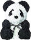 Bear of Artificial Roses Multicolour 25cm in Box Dorosimo