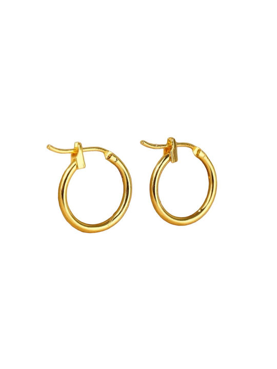 Earrings Hoops Gold Plated