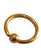 BD Jewelery Gold Plated Steel Hoop Earring