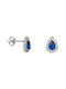 Earrings made of Platinum