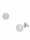 Paraxenies Earrings made of Silver with Pearls