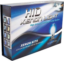 Xenon Beleuchtungsset H7 Can Bus 35W 24V 4300K Naturweiß