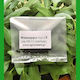 Agrosmart Seeds Sage 4gr