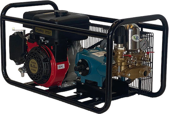 Rocket Complex de pulverizare Pe benzină 6hp cu Capacitate 38lt 35bar