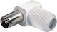 Plug Coaxial male Whitr (5-FTT4-001/1)
