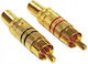 Pro-Show Βύσμα RCA male (59216)