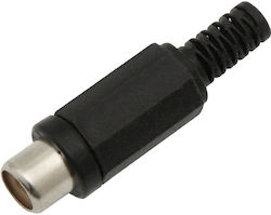 Jotronic HHJ-4795/B Priză RCA