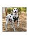 Animal Dog Harness Vest Black Medium 22.08.25492