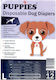 Puppies Pampers pentru câini Mare 50cm 1buc