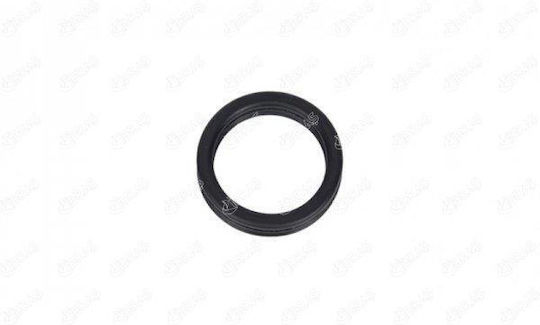 Ibras Oil Seals Car Skoda Superb 1pcs