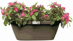 Quality For You Quality Laura Planter Box Plastic Black Quality For You Quality Laura Planter Box Plastic Black
