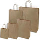 AG Trees Paper Bag for Gift Brown 34x34x47cm.