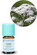 Florihana Ätherisches Öl Baldrian 5ml