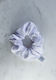 Nikama Scrunchie Λευκό