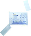 Sterilized Plasters 6pcs