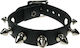 Kinksters Black