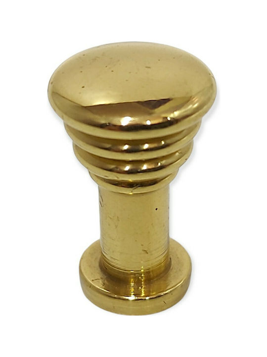 Knob Furniture made of Metallic in Gold Color 0596-ORO1 1pcs