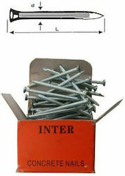 Inter Steel Nail 100pcs