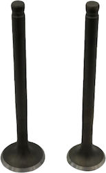 Motorcycle Intake & Exhaust Valves Lifan LF 125 GY-6