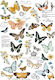 Stamperia Decor Transfer Prima Re-design Butterfly Dance 61x89cm Χαρτί Decoupage