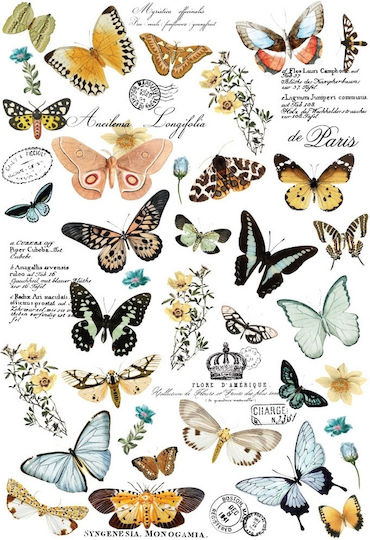 Stamperia Decor Transfer Prima Re-design Butterfly Dance 61x89cm Χαρτί Decoupage
