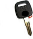 Car Key with Immobilizer for