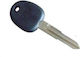 Car Key with Immobilizer