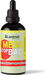 Landmark Megabac Stop Landmark Megabac Stop