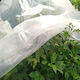 K4511 Anti-Frost Hood 17g/m² 1.6x1.6m White Agro Textiles