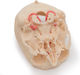 Erler Zimmer Skull/Head Model