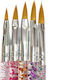 Set Nail Brushes Acrylic