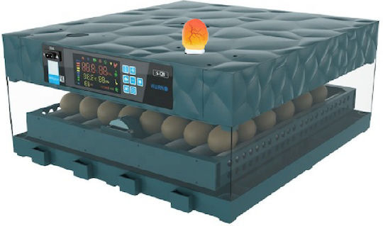 Astakos Automatic Egg Incubator 64 Eggs XWA-64-P