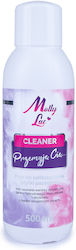 Cleaner 500ml 58897