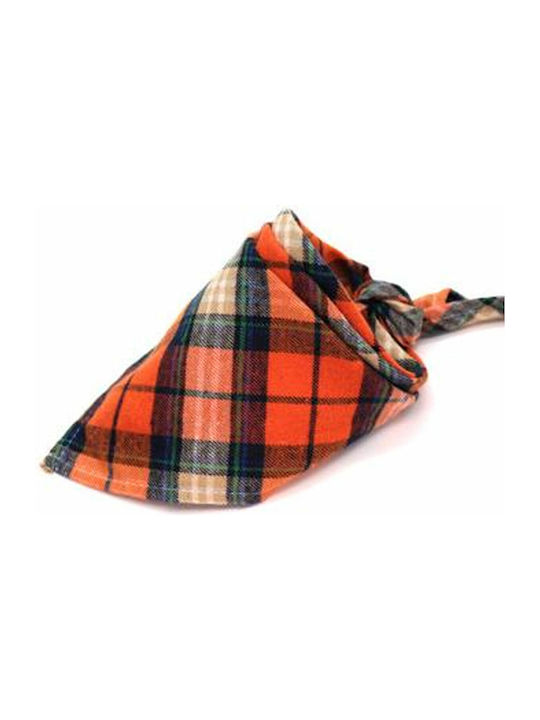 Dog Bandana in Orange Colour