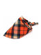 Dog Bandana in Orange Colour