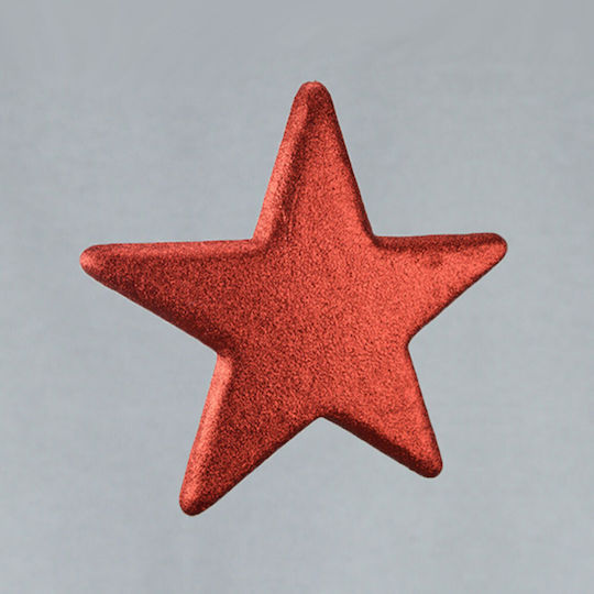 Crăciunesc Decorativ Suspendata Stea Plastic Roșu 25x25x25buc 1buc