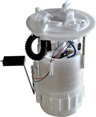 Kraftstoffpumpe für Autos für Renault Megane / Malerei