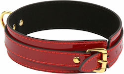 Soiemio Collar in Gold Color