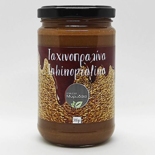 Κοιν.Σ.Επ Μυρωδάτο Vegan Ταχίνι με Πραλίνα Φουντουκιού 310gr