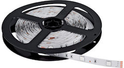 Horwood LED Strip 12V with Natural White Light 5m