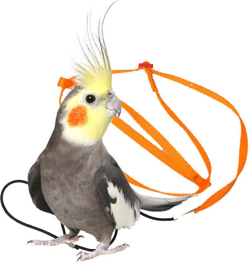 Birds Kingdom Аксесоари за Клетка за Папагали XXS