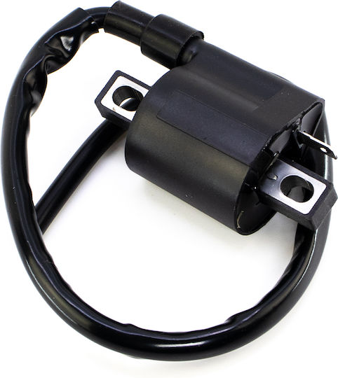 Roc Ignition Coil for Yahama Crypton T-110 / Crypton R/ F1Z-R / V-50 / Jog-3KJ/ Majesty 125-150-180 / Madison 125-150