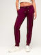 Sweatpants Jogger Purple
