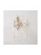 Inlight Vintage Lamp Wall with Socket E14 Transparent 35x23cm
