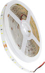 GloboStar Rezistentă la apă Bandă LED Alimentare 24V cu Lumină Alb Rece pe Metru SMD2835